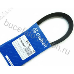 Ремень клиновой B-1750 GLOBELT