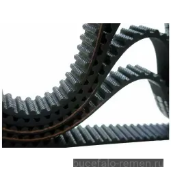 Ремень 252 XL SIT