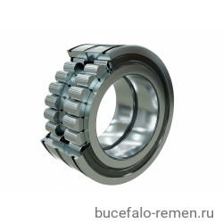 Подшипник роликовый SL045017-D-PP-2NR INA