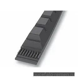 Ремень клиновой X8-1169 Lp RUBENA