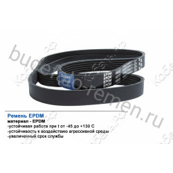 Ремень поликлиновой 10PK1560 EPDM GLOBELT