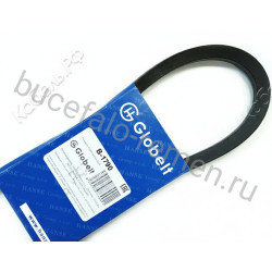 Ремень клиновой B-1790 GLOBELT