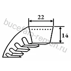 Ремень клиновой CX 48 Ld=1278 мм SWR