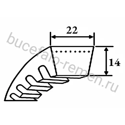 Ремень клиновой CX 48 Ld=1278 мм SWR