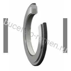 Уплотнение корпуса TSN 510 C SKF