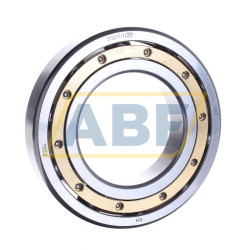 Подшипник шариковый радиальный однорядный DGB117020 NKE